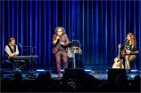 Schlager 241130 (c) Andreas Mueller 331