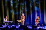 Schlager 241130 (c) Andreas Mueller 377