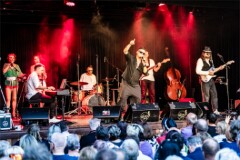 Pete Art_250808_(c)_Andreas_Mueller_199