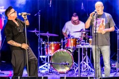 Pete Art_250808_(c)_Andreas_Mueller_237