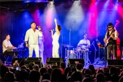 Pete Art_250808_(c)_Andreas_Mueller_404