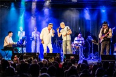 Pete Art_250808_(c)_Andreas_Mueller_473