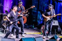 Pete Art_250815_(c)_Andreas_Mueller_112