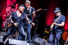 Pete Art_250815_(c)_Andreas_Mueller_319